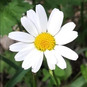 Meet your Posher, Andi